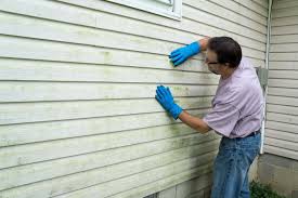 Affordable Siding Repair and Maintenance Services in Montrose, MI